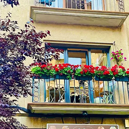 Cal Querol 1 - Centre Appartement Puigcerdà Buitenkant foto
